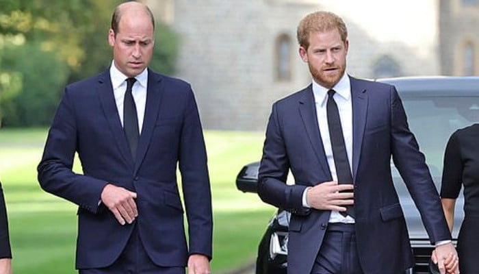 Prince Harry, Prince William reunion: Body language expert dissects ‘anger