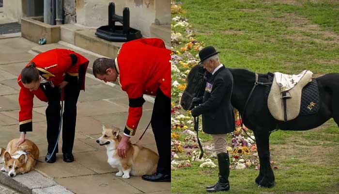 Corgi dan kuda poni ratu berperan dalam prosesi pemakaman