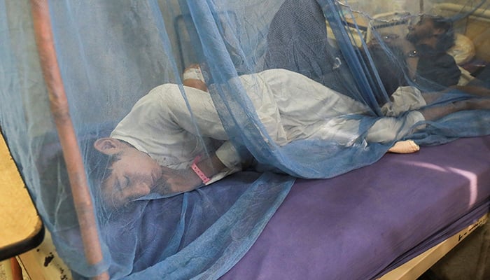 A dengue fever patient lies under a mosquito net inside a dengue ward at Lady Reading Hospital in Peshawar, Pakistan, September 16, 2022. — Reuters