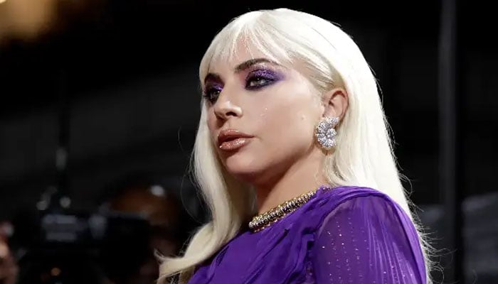 Lady Gaga impressionist drag queen surprises security at Miami concert
