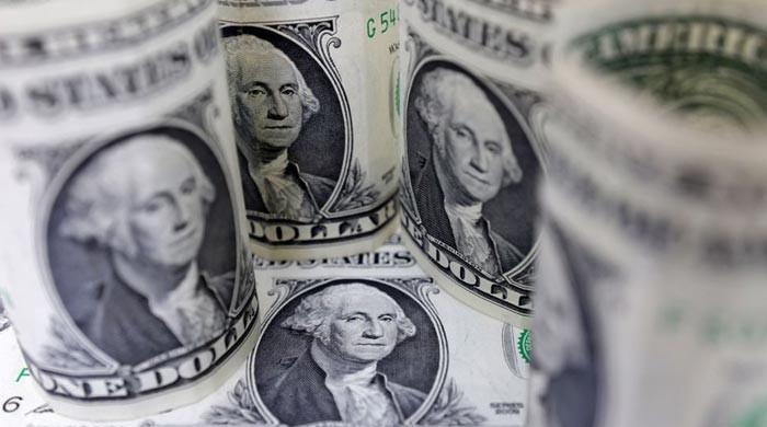 How currencies, including Pakistani rupee, are sinking before a buoyant dollar