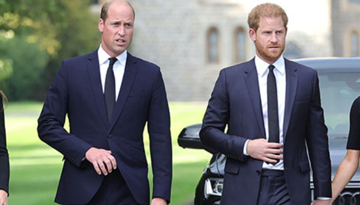 Le prince Harry a retrouvé William après la mort de la reine « éphémère »