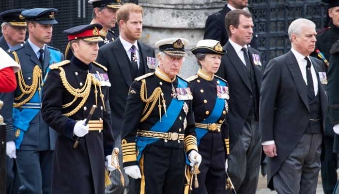 Royal family needs Prince Harry