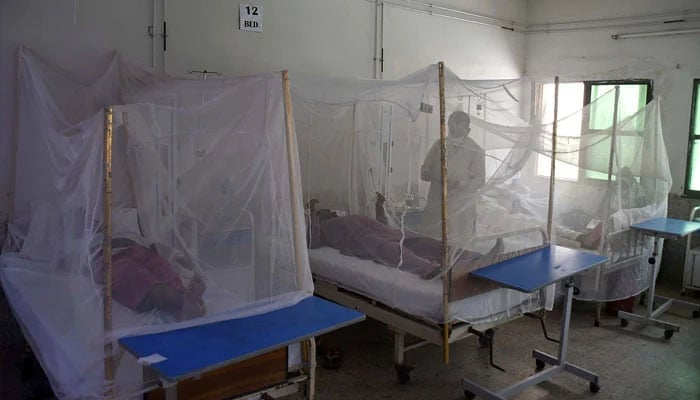 Dengue patients rest under mosquito nets at the dengue ward in the hospital, in Provincial Capital.— ONLINE/ Sabir Mazhar
