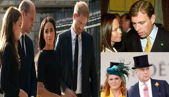 King Charles III's cousin defends Meghan, alleges royal family of hazing newcomers - Vimarsana News