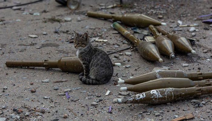 A cat sits near shells for a RPG-7 grenade launcher at a former position of Russian troops, amid Russias attack on Ukraine, in the village of Velyka Komyshuvakha, recently liberated by the Ukrainian Armed Forces in Kharkiv region, Ukraine September 24, 2022. — Reuters