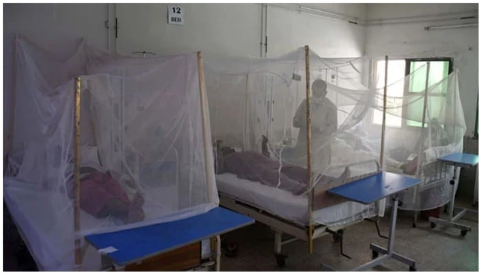 Dengue patients rest under mosquito nets at the dengue ward in the hospital, in Provincial Capital.— ONLINE/ Sabir Mazhar