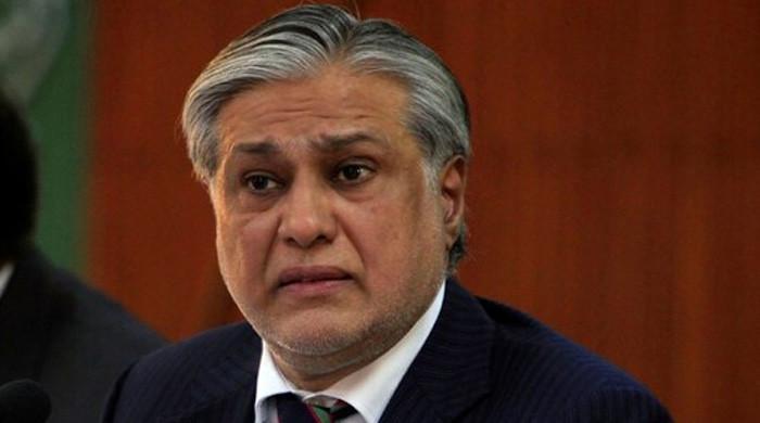 The decision to bring in Ishaq Dar is irresponsible The decision to bring in Ishaq Dar is irresponsible
