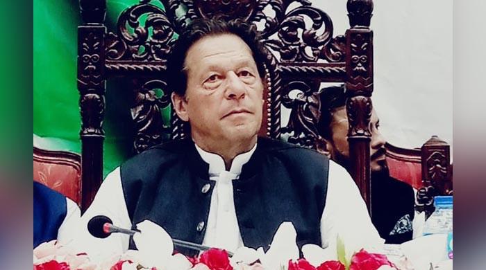 I will hamper Ishaq Dar's plans, PTI Chairman Imran Khan warns