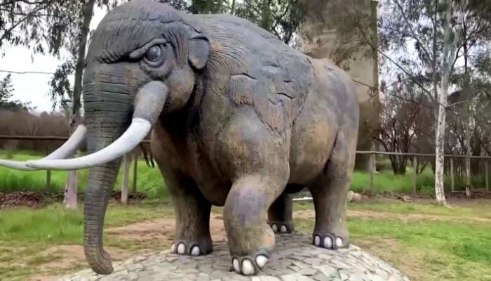 Gomphotheres, an extinct relative of the modern elephant, roamed southern Chile thousands of years ago. — Screengrab via Reuters video
