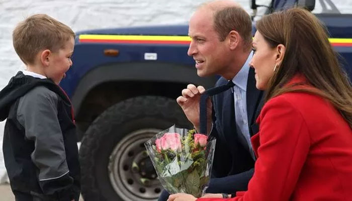 Prince Williams babysitter joke makes fan say Diana would be proud