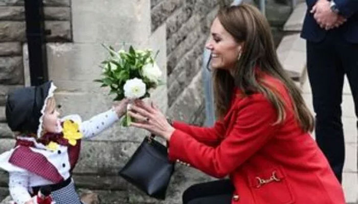 Prince Williams babysitter joke makes fan say Diana would be proud