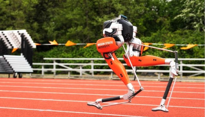 The fastest 100 m by a bipedal robot is 24.73 seconds, achieved by Oregon State University Dynamic Robotics Laboratory (USA) in Corvallis, Oregon, USA, May 11 2022. — Guinness World Records.
