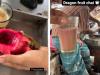 WATCH: Dragonfruit chai from Bangladesh spurs 'yuck factor' across social media