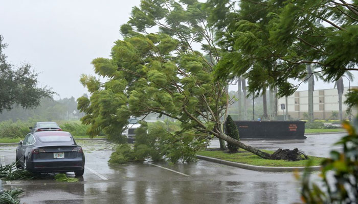 Gusts from Hurricane Ian begin to knock down small trees and palm fronds in a hotel parking lot in Sarasota, Florida, US September 28, 2022. — Reuters