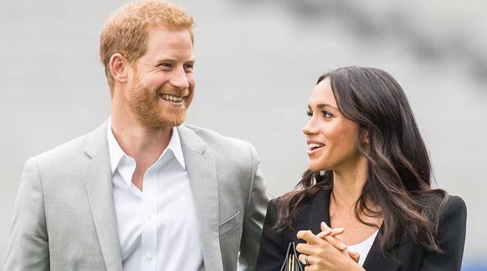 Prince Harry, Meghan Markle 'must be worried' after 'demotion'