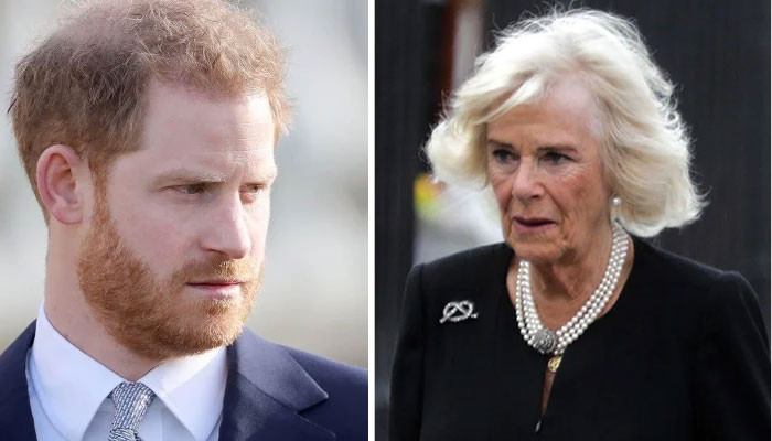 Camilla 'broken' by fall out with Meghan Markle, Prince Harry - Vimarsana News