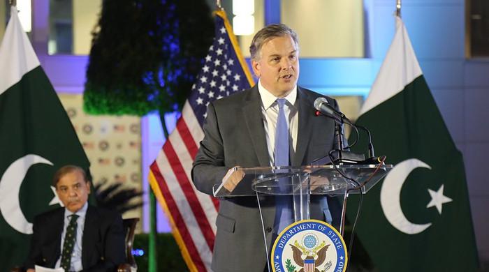 Absolutely no truth in 'unfortunate' regime change conspiracy: US ambassador