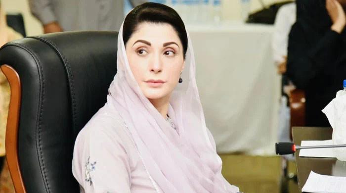 'Finally, relief for masses': Maryam reacts to cut in petroleum prices