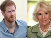 Camilla biography dropped to urgently counter 'cruel' Prince Harry 'nasty remarks'