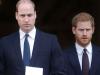'Paranoid' Prince Harry snubbed urgent meeting with William over 'trust' issues