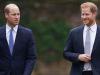Prince William and Prince harry have ‘fundamental lack of trust’