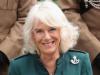Camilla will reduce number of staff to be 'more with the times'