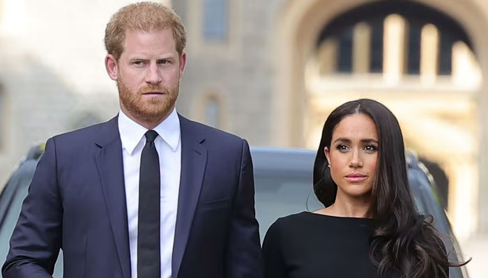 Prince Harry, Meghan Markle proving to be â€˜liabilityâ€™ to monarchy thumbnail