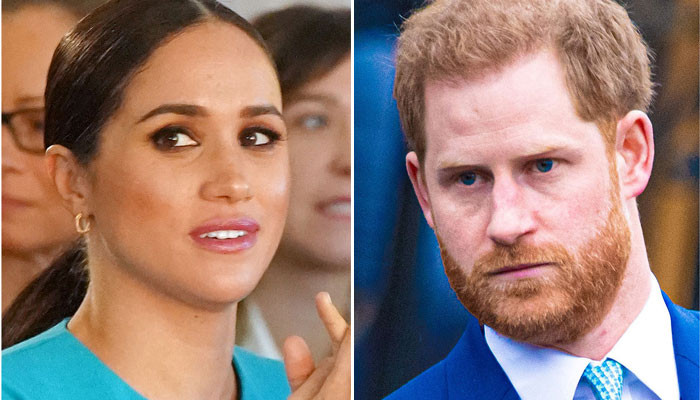 The World Mourns Prince Harry And Meghan Markles Unthinkable Loss - dfbjbf1