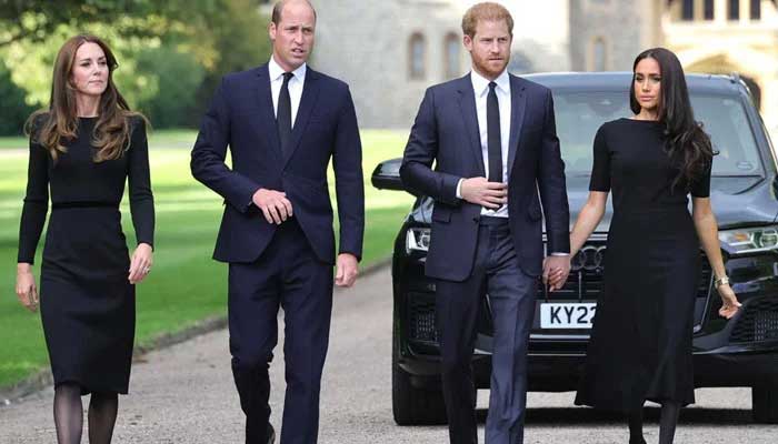Meghan Markle, Prince Harry dont feel sorry for anything