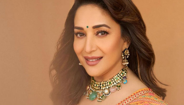 Madhuri Dixit was last seen in Netflix film The Fame Game