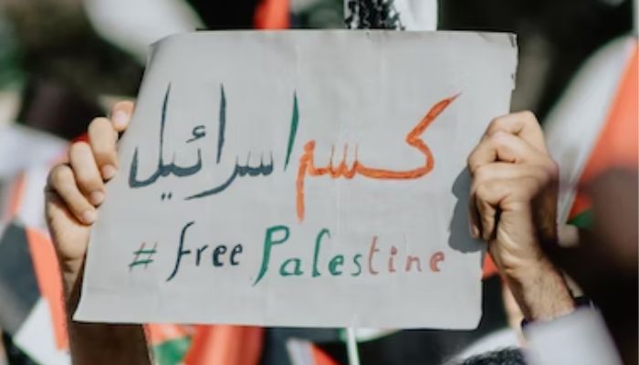 Person holding a chart that says free Palestine. Unsplash