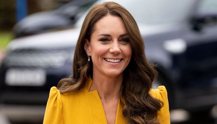Royal fans praise Kate Middleton as she cradles newborn baby, ‘Precious moment’