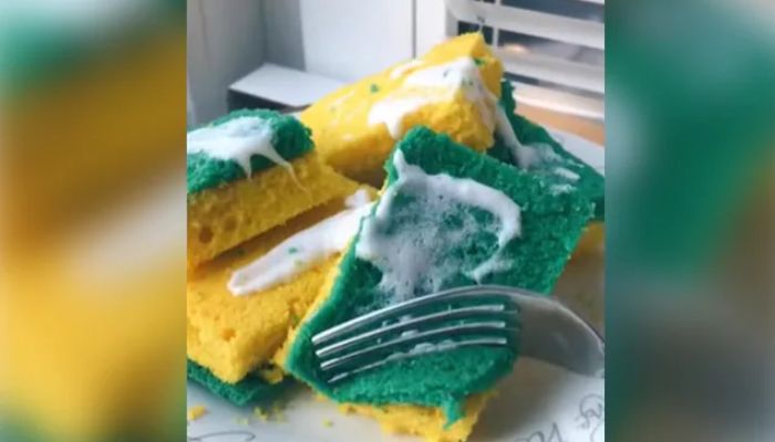 Acake that looks like a used Scotch Brite sponge.— Screengrab via Instagram