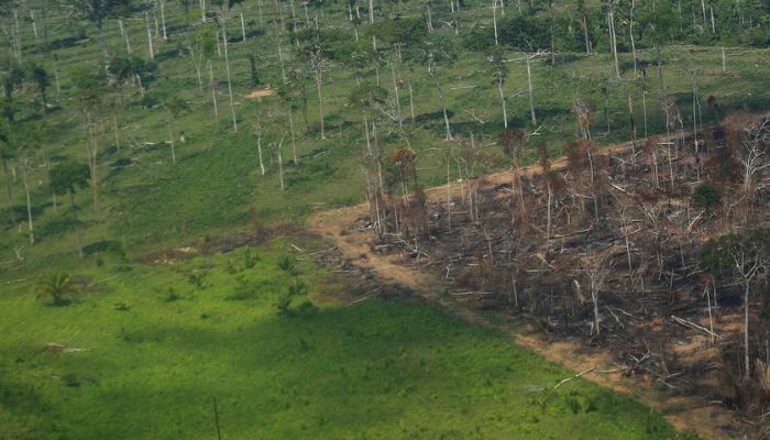 An aerial view shows a deforested plot of the Amazon rainforest in Rondonia State, Brazil September 28, 2021. Picture taken September 28, 2021. — Reuters