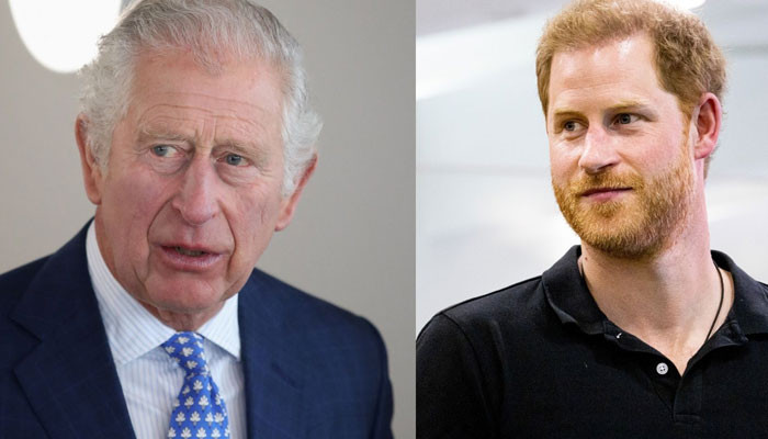 prince-harry-dropped-pr-firm-for-king-charles-cannot-be-better-than-buckingham-palace