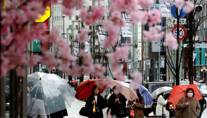 Pedestrians wearing protective face masks, amid the coronavirus disease (COVID-19) pandemic, are seen behind artificial cherry blossom decorations at a shopping district on the first day after the lifting of COVID-19 restrictions imposed on Tokyo and 17 other prefectures, in Tokyo, Japan, March 22, 2022.— Reuters