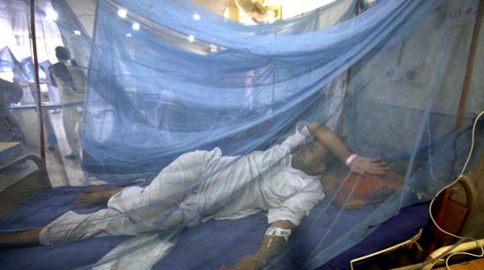 Pakistan to procure 6.2m mosquito nets from India