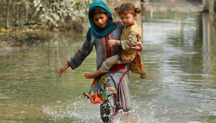 Sindh, Balochistan acquire ‘biological pesticide’ from army to deal with mosquitoes in flood-hit areas