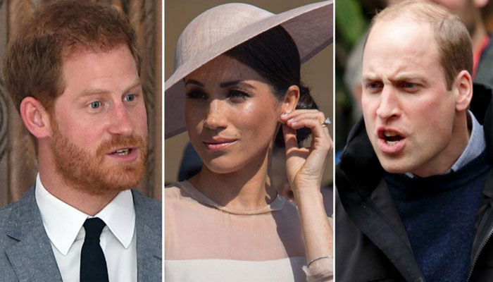 Meghan Markle in a bid to reunite Prince William and Prince Harry