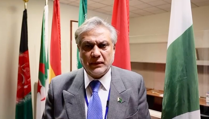 Finance Minister Ishaq Dar speaks during a video message in Washington, on October 15, 2022. — Screengrab