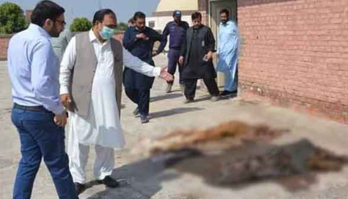 Officials inspect the situation at Nishtar Hospitals rooftop where several corpses were found, on October 14, 2022. — Twitter/File