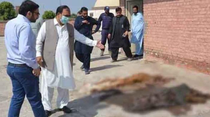 Inquiry committee demands action against Nishtar Hospital's staff for mistreating corpses