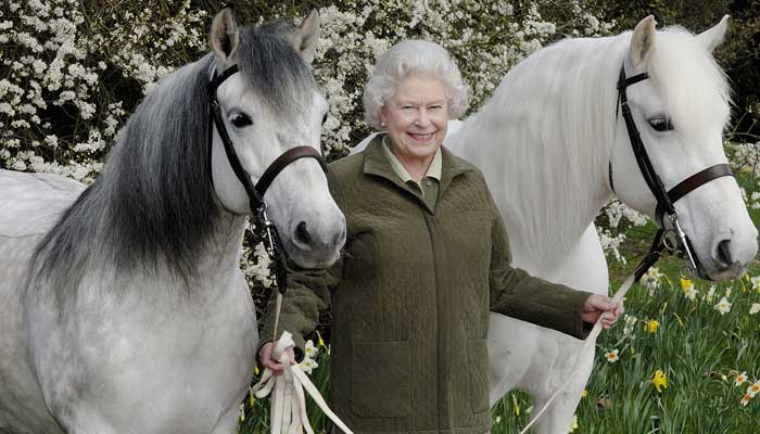 King Charles III wants to get rid of Queen Elizabeths beloved horses?