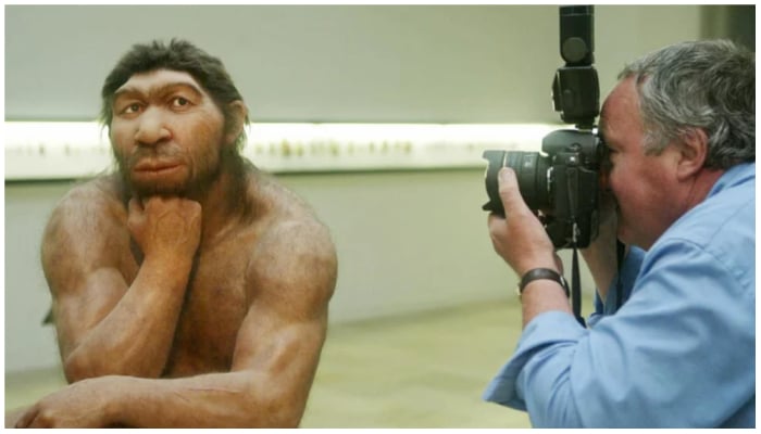 Advances in DNA technology have given scientists a new tool with which to study ancient human origins. I think ancient DNA becomes very powerful now, says one researcher, because it gives you a direct look into the past. Here, a photographer shoots a reconstruction of a Neanderthal man at a museum in Germany. — Sebastian Willnow/AFP/Getty Images