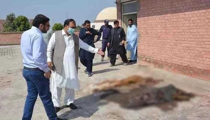 A blurred image of two bodies rotting on the roof of Nishtar Hospital in Multan, on October 14, 2022. — Twitter