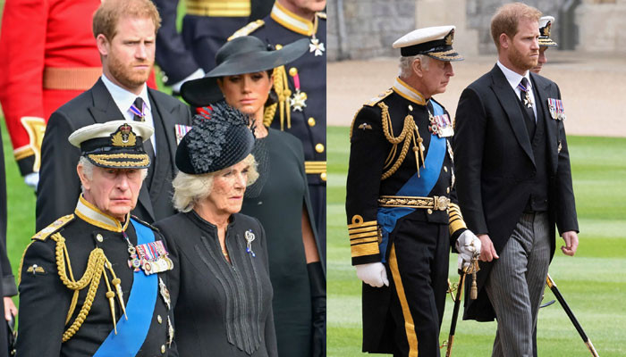 King Charles Camilla And Prince Harry s Top Secret Meeting Details 
