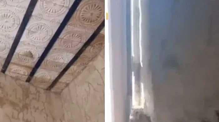 Flood-hit areas of Sindh under termite attack, suffering of affectees intensified