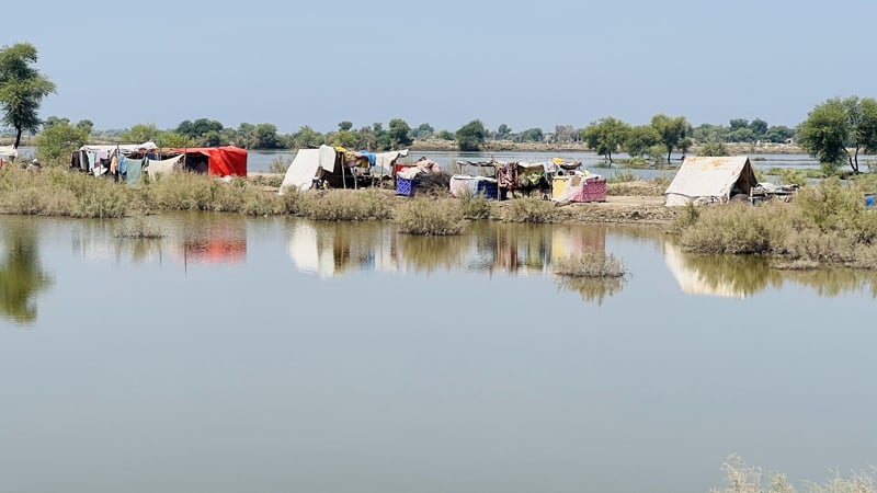 Stagnant floodwaters in Sindh have become a breeding ground for malaria-spreading mosquitoes. Already weakened by chronic diseases and ageing immune systems, older people are now also succumbing to the disease. Malooka Khatoon, 70, a farmer, stands next to what is now left of her house in Village Pat Karira. — Helpage