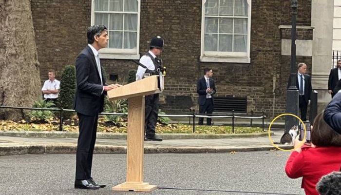 Larry the Cat is spotted as Rishi Sunak speaks at 10 Downing Street in London.— Twitter